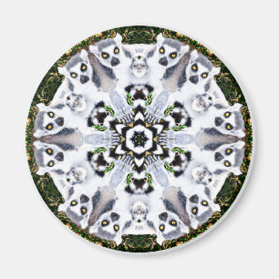 Lemur Kaleidoscope Magnet
