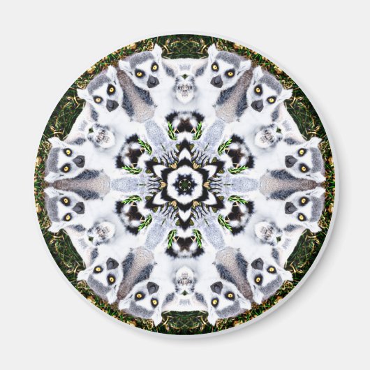 Lemur Kaleidoscope Magnet (Vorne)