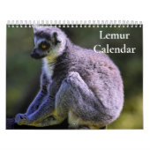 Lemur-Kalender 2025 Kalender (Titelbild)