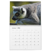 Lemur-Kalender 2025 Kalender (Jan 2026)