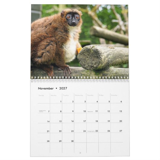 Lemur-Kalender 2025 Kalender (Nov 2027)