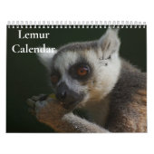 Lemur-Kalender 2025 Kalender (Titelbild)
