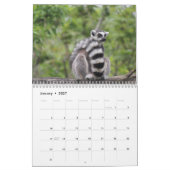 Lemur-Kalender 2025 Kalender (Jan 2027)