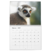 Lemur-Kalender 2025 Kalender (Feb 2027)