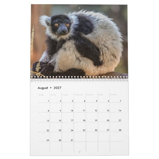 Lemur-Kalender 2025 Kalender (Aug 2027)