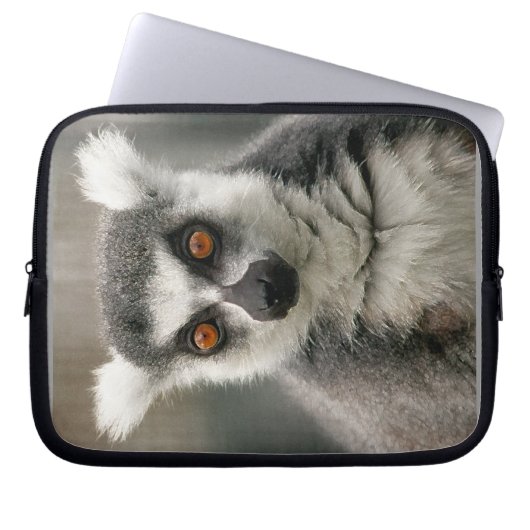 Lemur Laptopschutzhülle (Vorderseite)