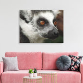 Lemur Leinwanddruck (Insitu (Wohnzimmer))