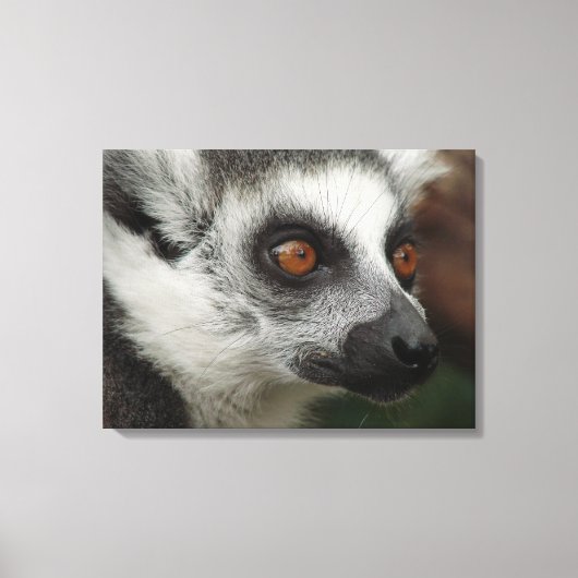Lemur Leinwanddruck (Vorderseite)
