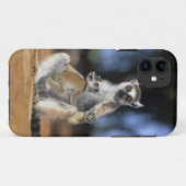 Lemur, (Lemur catta), Mutter und Case-Mate iPhone Hülle (Rückseite (Horizontal))