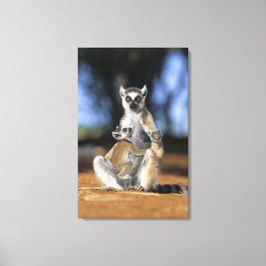 Lemur, (Lemur catta), Mutter und Leinwanddruck (Vorderseite)