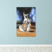 Lemur, (Lemur catta), Mutter und Leinwanddruck (Insitu (Holzboden))