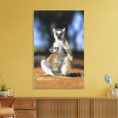 Lemur, (Lemur catta), Mutter und Leinwanddruck (Insitu (Wohnzimmer))