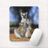 Lemur, (Lemur catta), Mutter und Mousepad (Mit Mouse)