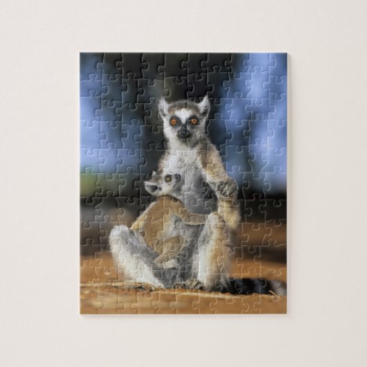 Lemur, (Lemur catta), Mutter und Puzzle (Vertikal)