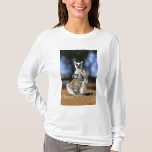 Lemur, (Lemur catta), Mutter und T-Shirt (Vorderseite)