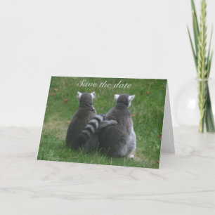 Lemur love! . Save the date Ankündigung