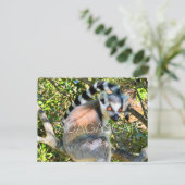 Lemur, Madagaskar Reise-Postkarte Postkarte (Stehend Vorderseite)