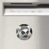 Lemur Magnet (In Situ (Geschirrspüler))