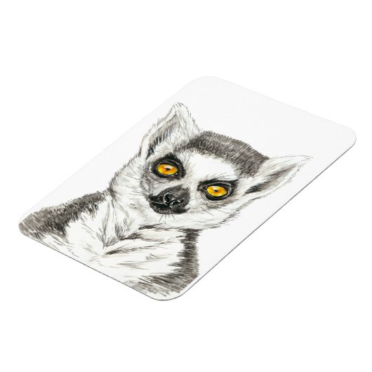 Lemur Magnet (Linke Seite)