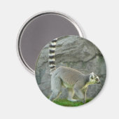 Lemur Magnet (Vorderseite/Rückseite)