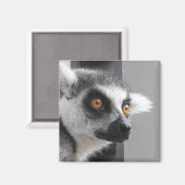 Lemur Magnet (Vorderseite/Rückseite)