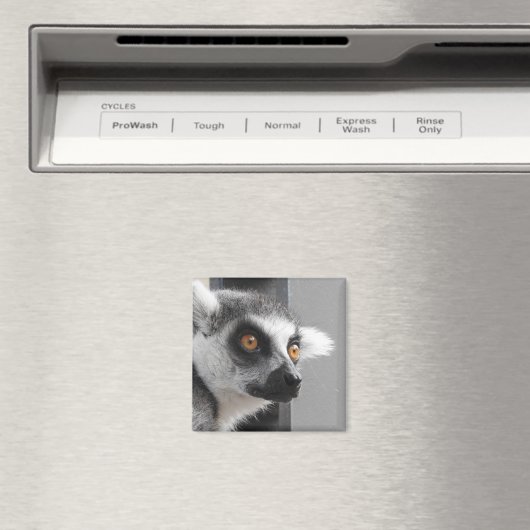 Lemur Magnet (In Situ (Geschirrspüler))