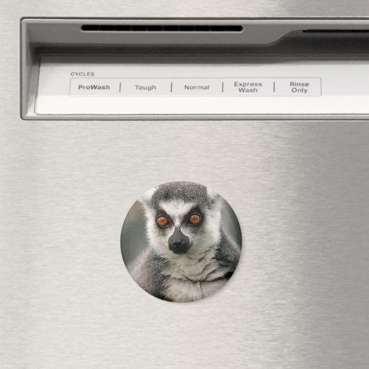 Lemur Magnet (In Situ (Geschirrspüler))