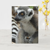Lemur Monkey Grußkarte Karte (Gelbe Blume)