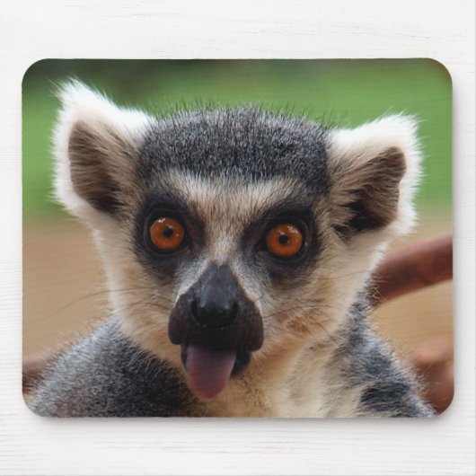 Lemur Mousepad (Vorne)