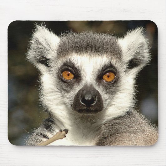 Lemur Mousepad (Vorne)