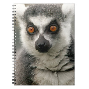 Lemur Notizblock