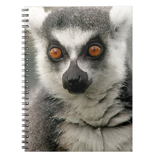 Lemur Notizblock (Vorderseite)