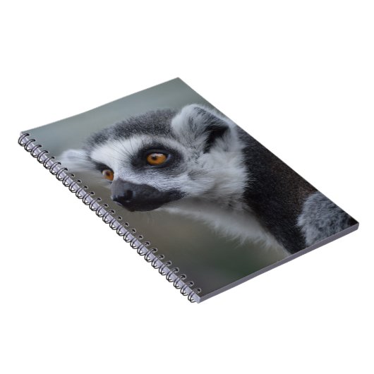 Lemur Notizblock (Rechte Seite)