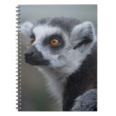 Lemur Notizblock (Vorderseite)