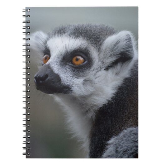Lemur Notizblock (Vorderseite)