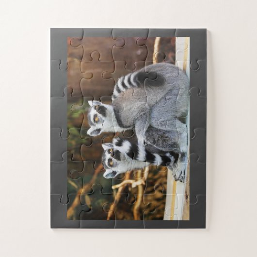 Lemur Pair Puzzle (Vertikal)