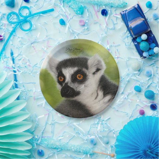 Lemur-PapierTeller! Pappteller (Party)