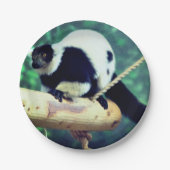 Lemur Pappteller (Vorderseite)