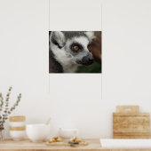 Lemur Poster (Küche)