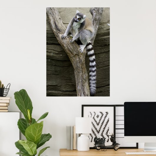 Lemur Poster (Heimbüro)