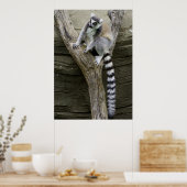Lemur Poster (Küche)