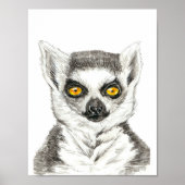 Lemur Poster (Vorne)