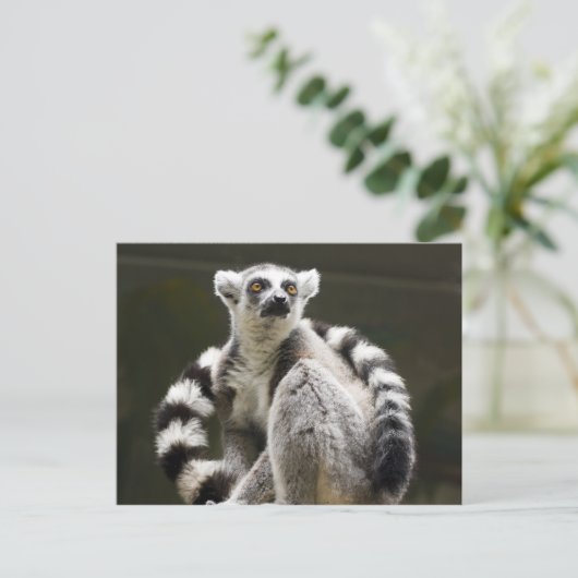 Lemur Postkarte (Stehend Vorderseite)