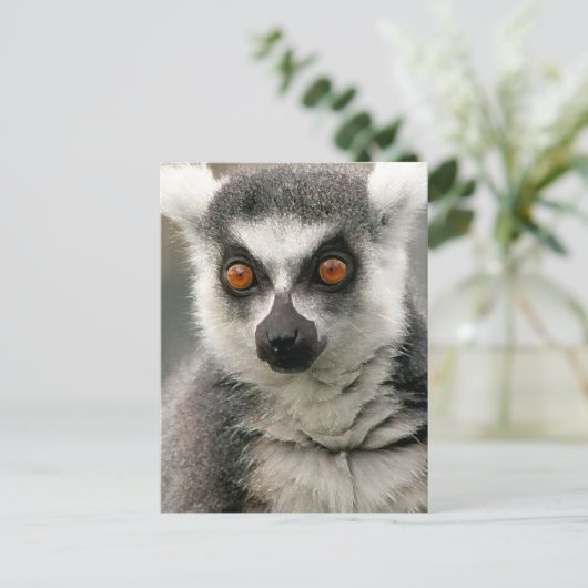 Lemur Postkarte (Stehend Vorderseite)
