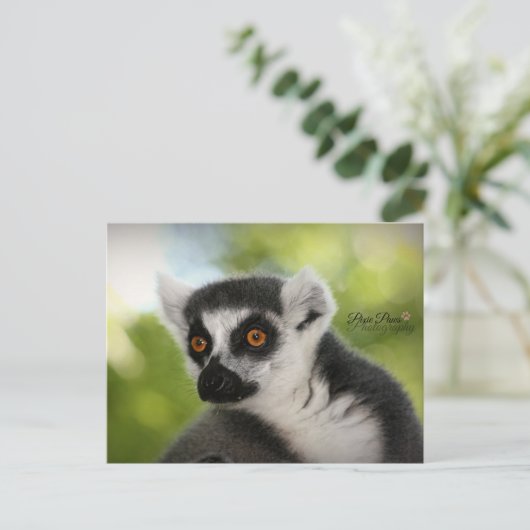 Lemur Postkarte (Stehend Vorderseite)