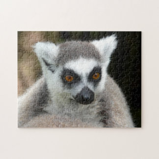 Lemur Puzzle