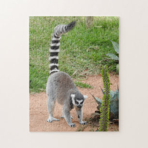 Lemur-Puzzlespiel Puzzle