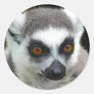 Lemur Runder Aufkleber