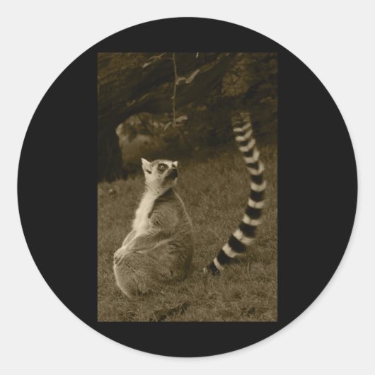 Lemur Schwanz Valencia Tint Vertical Sticker (Vorderseite)