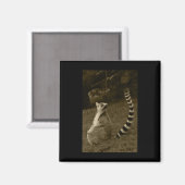 Lemur Schwanz Valencia Tint Vertical Sticker Magnet (Vorderseite/Rückseite)